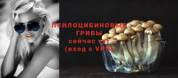 MDMA Дмитриев
